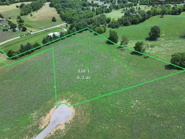 241 Eagle Ridge Ln, Cynthiana, KY 41031