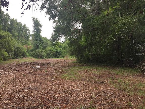 2nd image of 1909 Section Dr