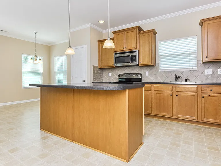 217 Switchback St — Photo 5