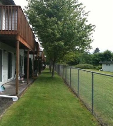 Back Yard and Patios