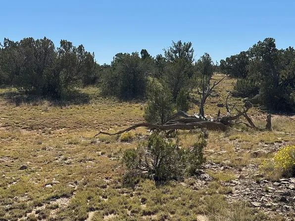 146 N Avondale Rd, Williams, AZ 86046