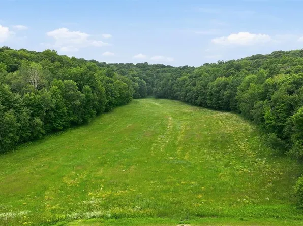 40 Acres County Road S, Wheeler, WI 54772