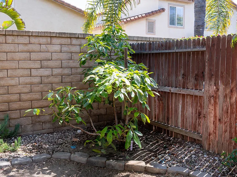 4707 Calle Cancun — Photo 40