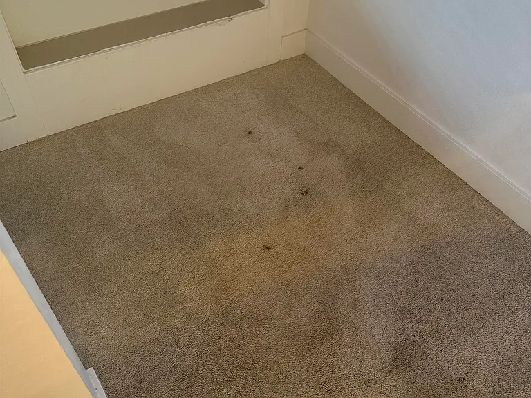 3581 Ross Dr #Penthouse 1 — Photo 9