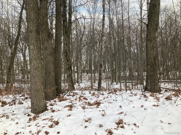 Lots 1 4 B St, Caseville, MI 48725