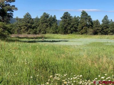 254 Park Avenue, Pagosa Springs, CO, 81147