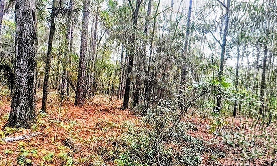 1st image of 2871 W SUNKIST LANE LOT 125