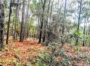 2871 W Sunkist Ln LOT 125, Dunnellon, FL 34433