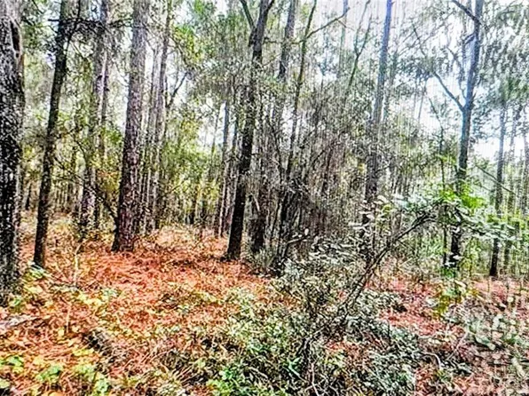 2871 W Sunkist Ln Lot 125, Dunnellon, FL 34433