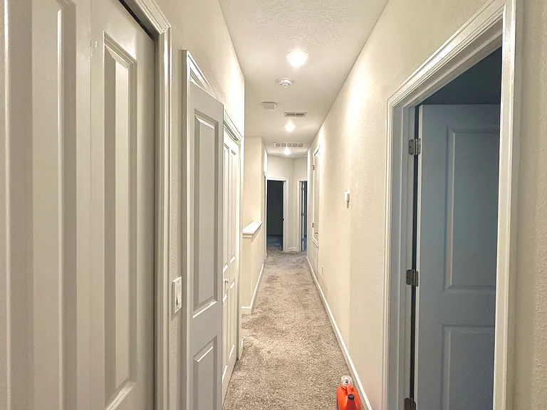 11066 Whistling Pine Way — Photo 10