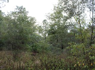 00 SE 46th Loop, Keystone Heights, FL 32656