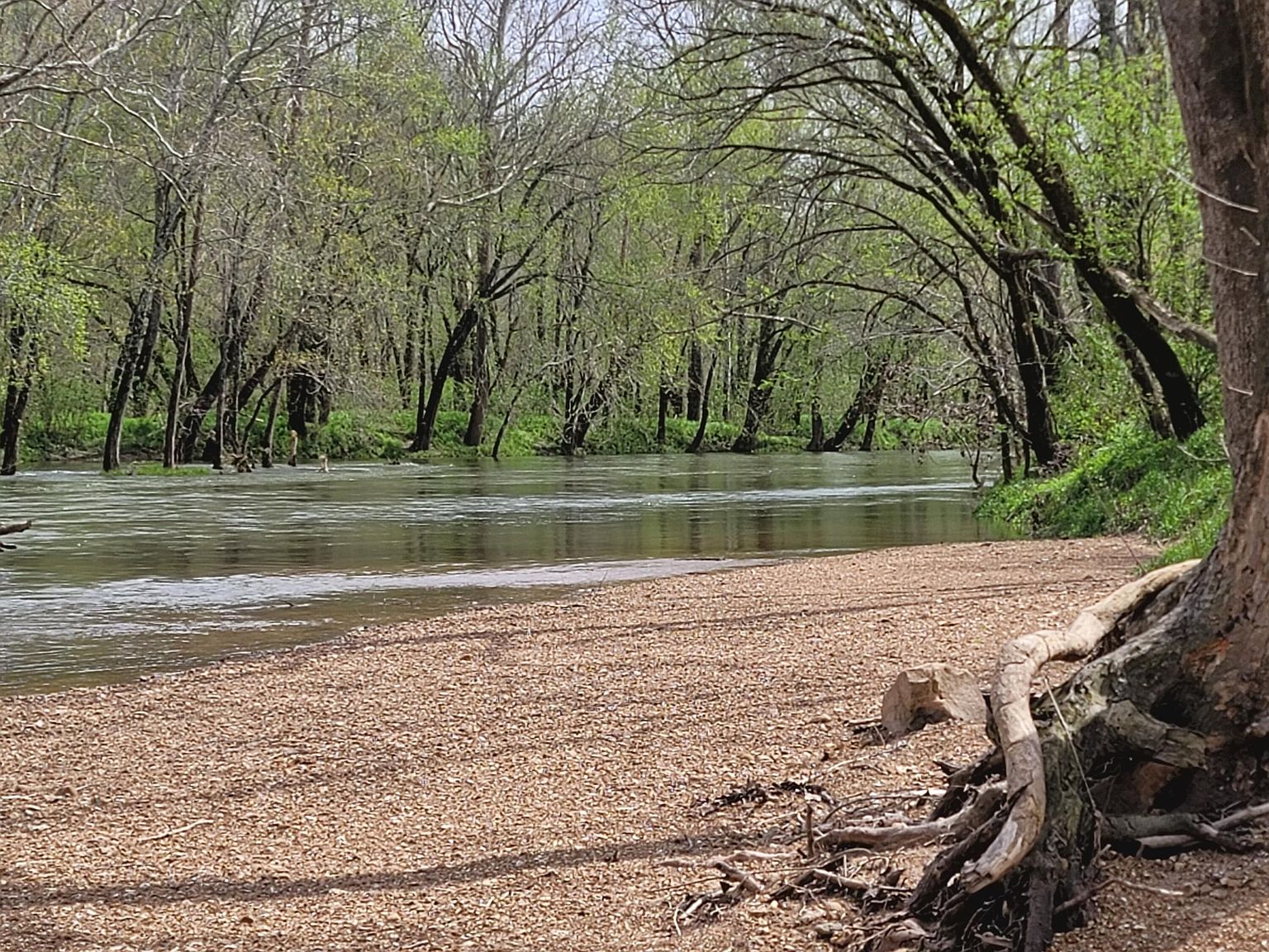 12699 Friend Drive, Bucyrus, MO 65444 Zillow