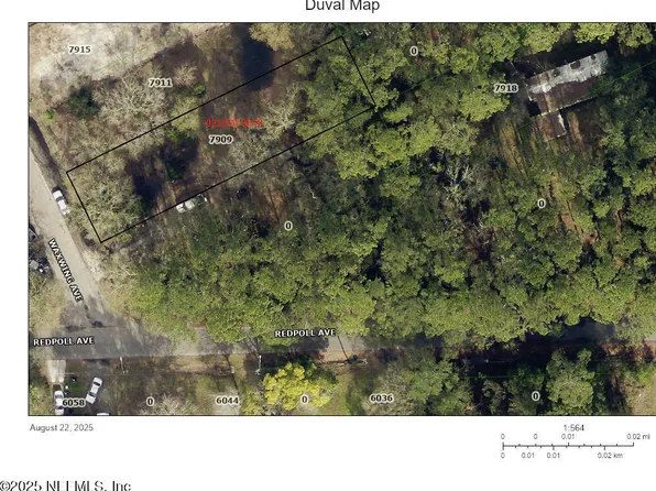 7909 WAXWING Avenue, Jacksonville, FL 32219