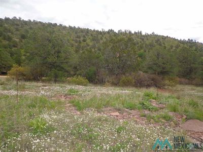 5.55 Ac Roadrunner Rd, Las Vegas, NM, 87701