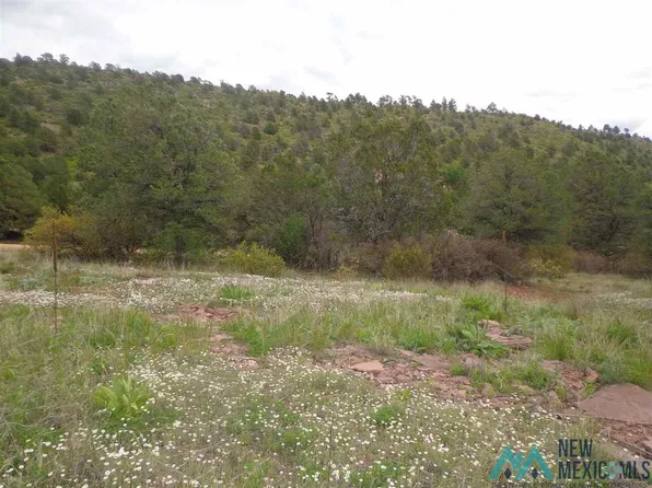 5.55 Ac Roadrunner Rd, Las Vegas, NM 87701