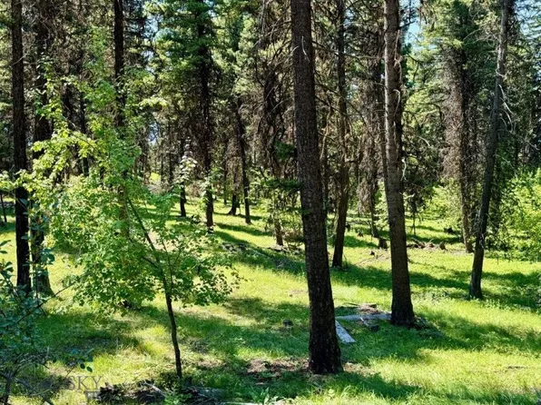 321 Stagecoach Dr, Seeley Lake, MT 59868