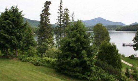 Direct View of Whiteface