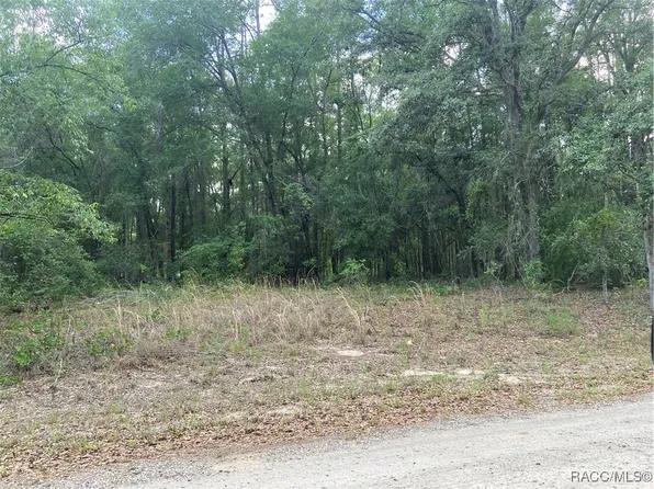 247 E McFaddin Pl, Citrus Springs, FL 34434