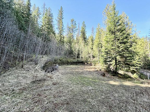 2nd image of 498 Revenue Gulch Rd