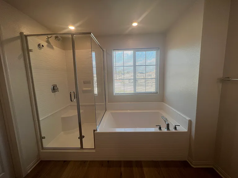 Master Shower & Tub