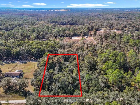 7241 Sonia Ave, Webster, FL 33597