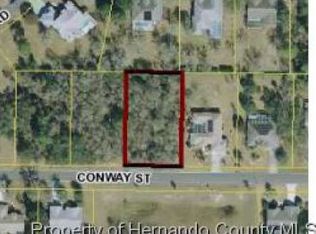 12005 Conway St, Spring Hill, FL 34609