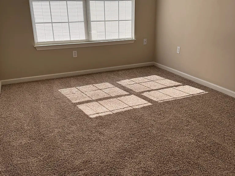 150 Swaying Pine Ct — Photo 17
