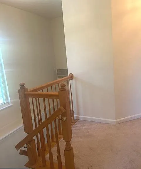 2028 Madrillon Springs Ct — Photo 12