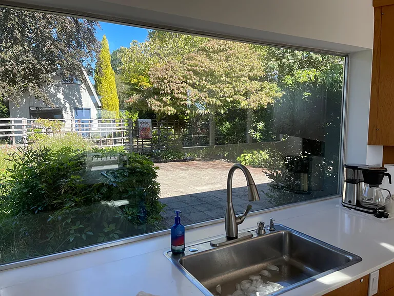 Front patio/garden view from the kitchen