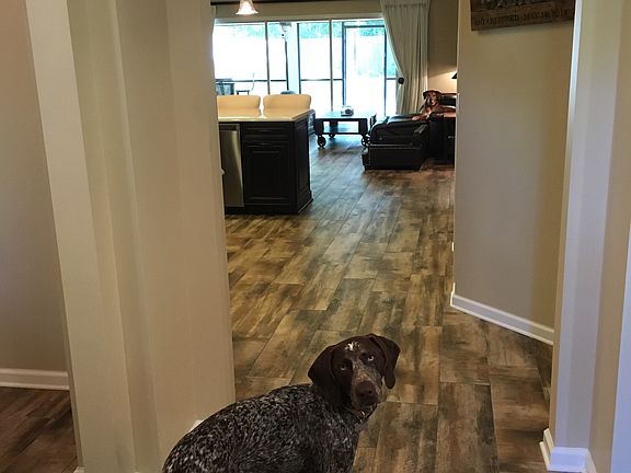 3rd image of 4784 Village Grove Ct
