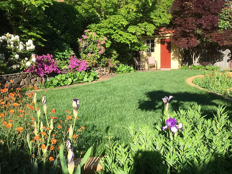 Backyard Landscaping