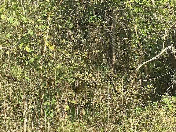 4th image of 14607 Susie Ln #442