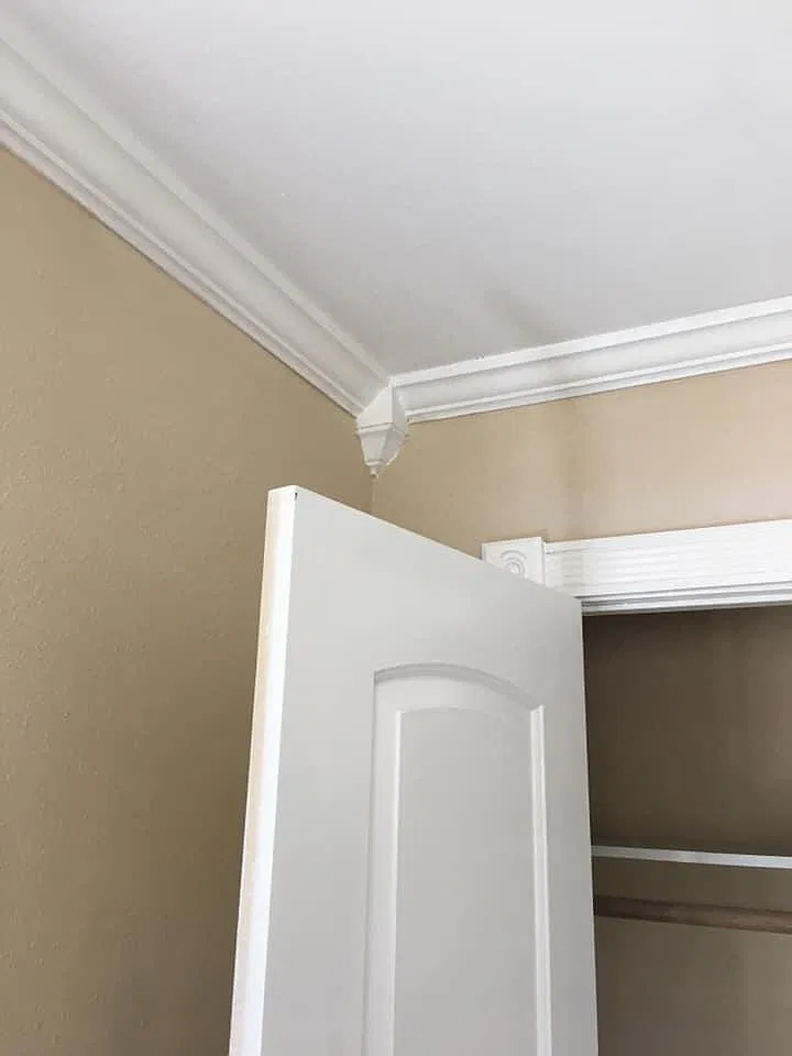 3119 Roosevelt Ave — Photo 4