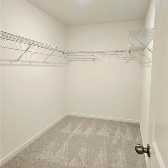 2445 Livi Ln — Photo 13