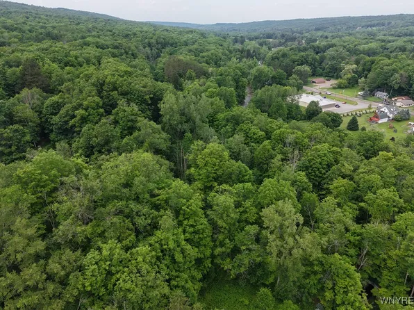 8762 Lower East Hill Rd #3, Colden, NY 14033