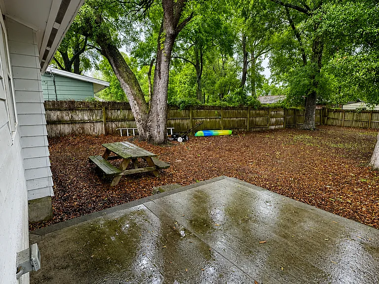 Backyard