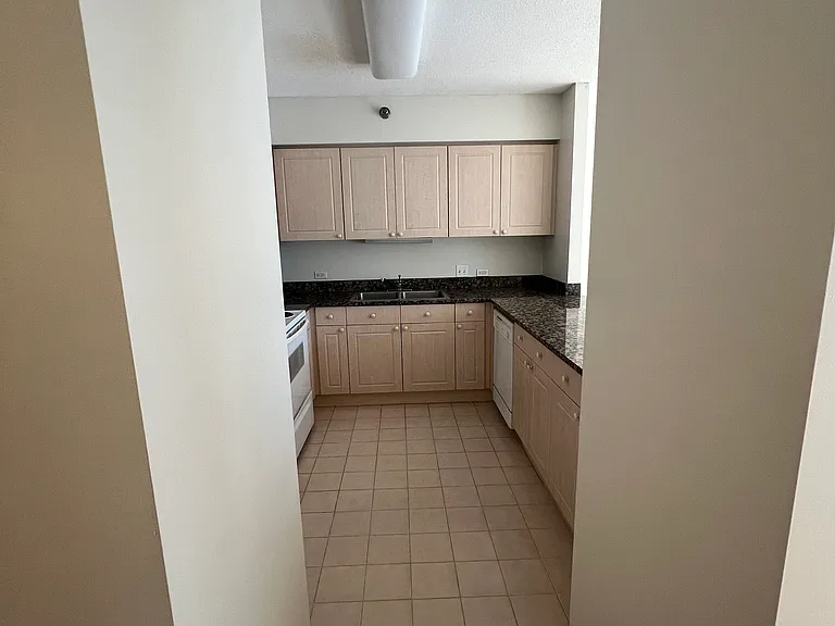 512 N McClurg Ct #909 — Photo 7