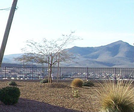 View in the back