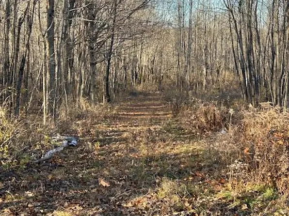 0 Miles Road, Dixmont, ME 04932