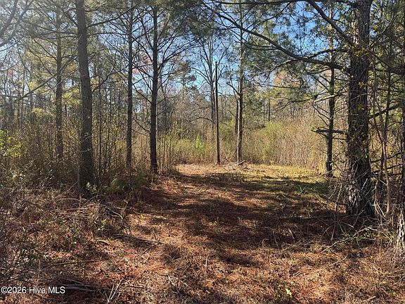 2nd image of 0 Little Prong Rd NW Lot 2 & 3