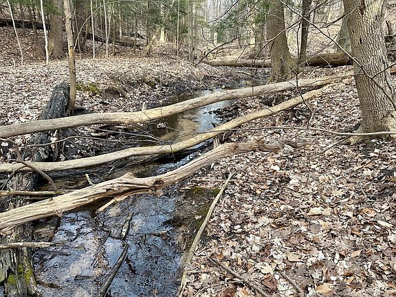 3rd image of V/l S Beaune Rd