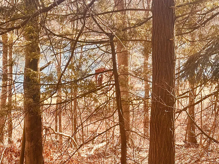 410 Barbara Dr — Photo 65