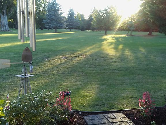 view from patio