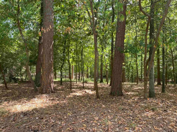 Lamplight Path, Hawkins, TX 75765