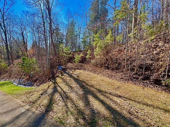 4th image of 113 Beech Tree Dr
