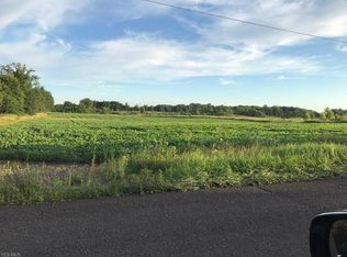 3723 Selkirk Bush Rd, Newton Falls, OH 44444