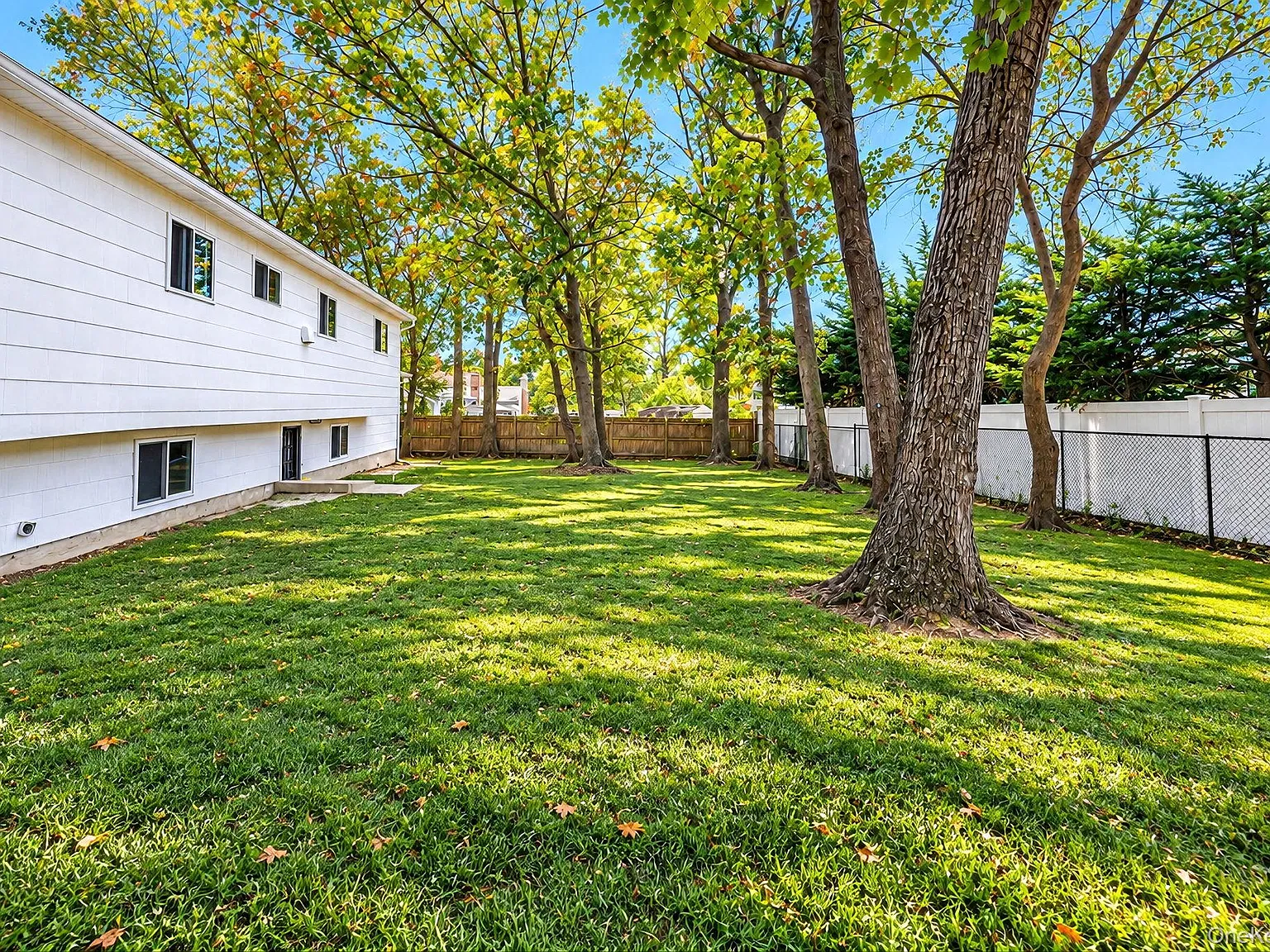 4 bed, 1.0 bath, 1698 sqft, $4,500 — Photo 4