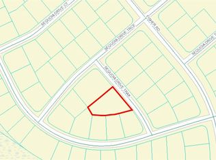 Sequoia Drive Trak LOT 6, Ocklawaha, FL 32179