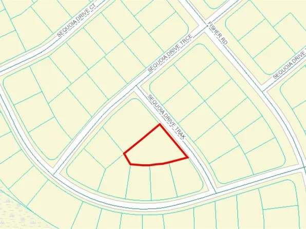 TBD SEQUOIA DRIVE TRACK LOT 6, OCKLAWAHA, FL 32179