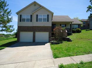 151 Sapling Dr, Branson, MO 65616